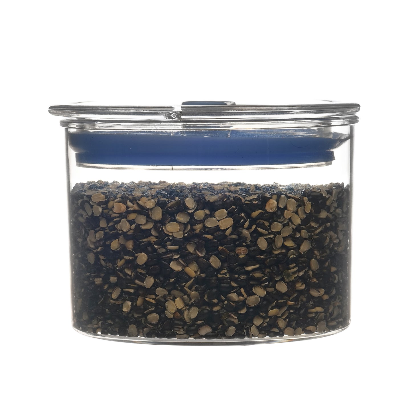 Orio Airtight Transparent Plastic Storage Container Square Blue 500ML - Homeproindia.com